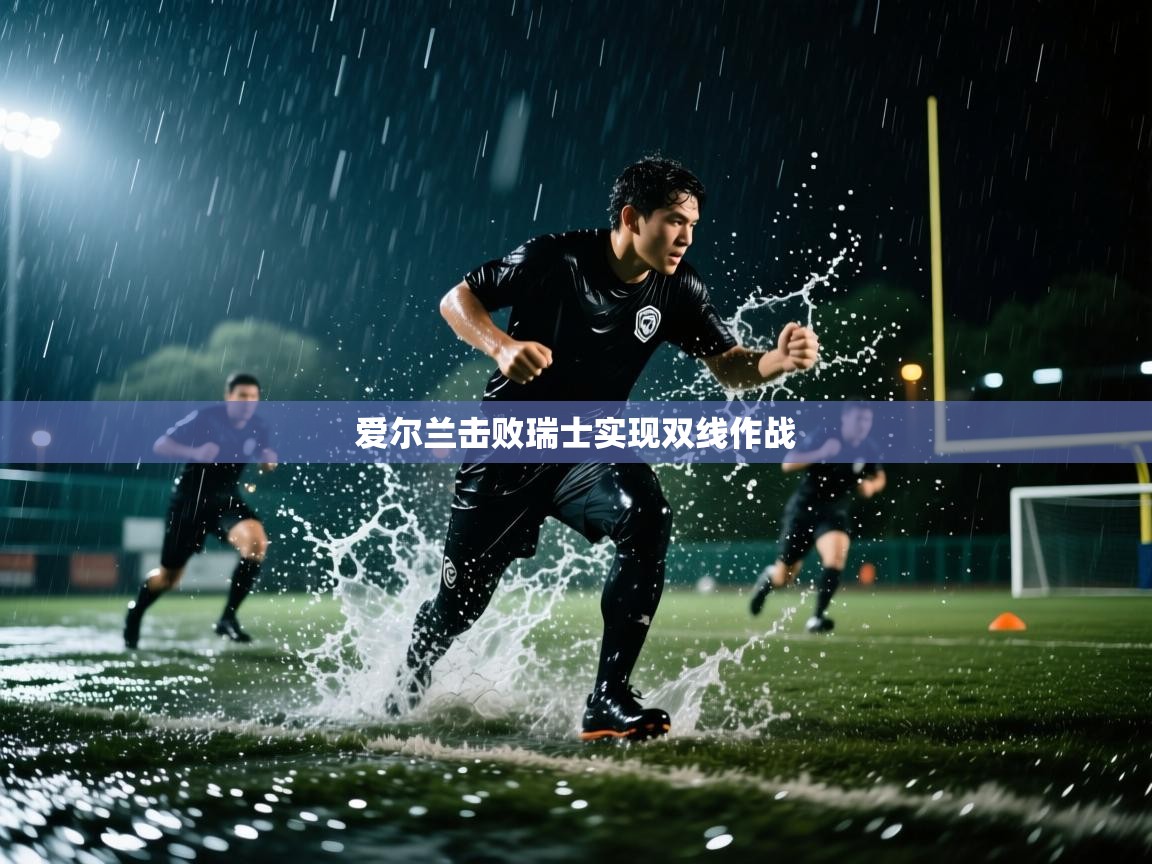 爱尔兰击败瑞士实现双线作战  第2张