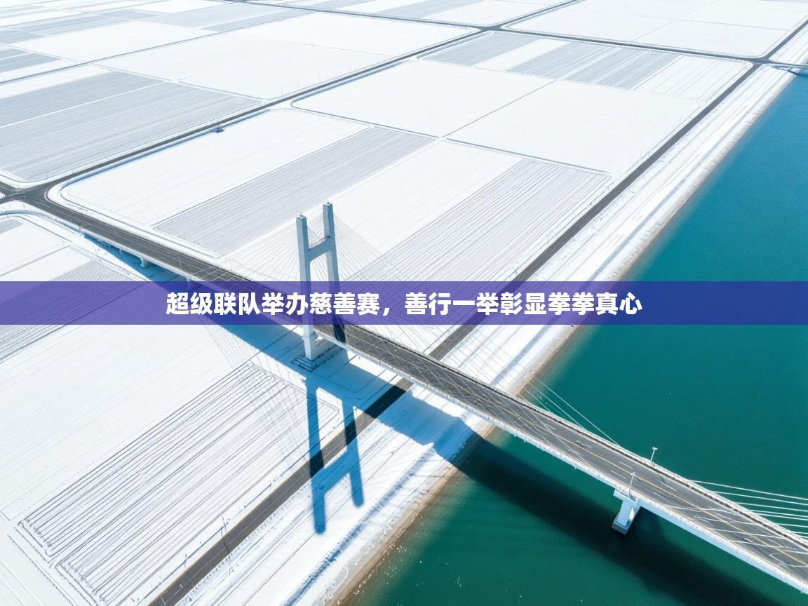 超级联队举办慈善赛,善行一举彰显拳拳真心 第1张